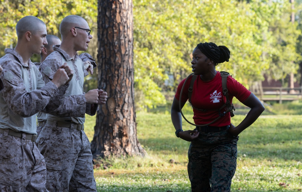 Alpha Company Confidence Course