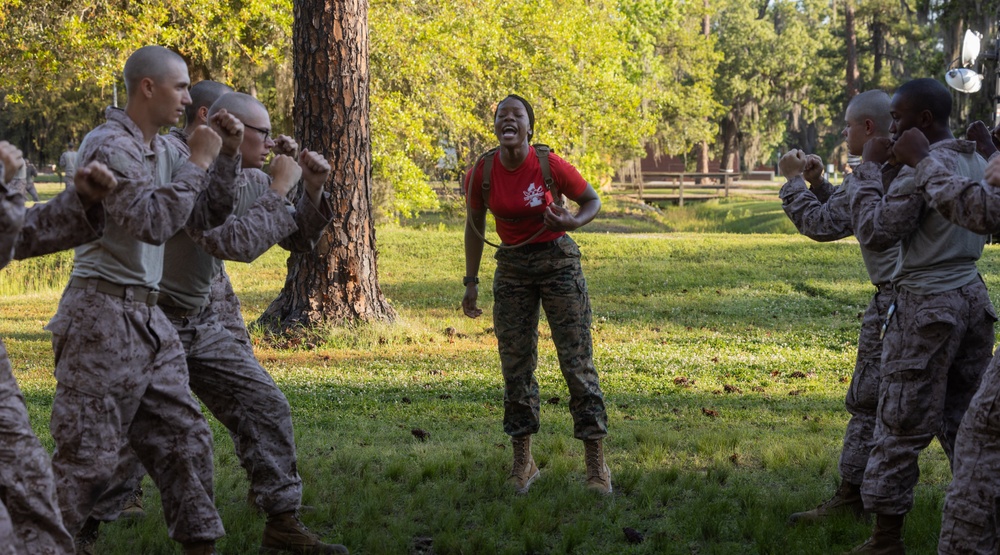 Alpha Company Confidence Course