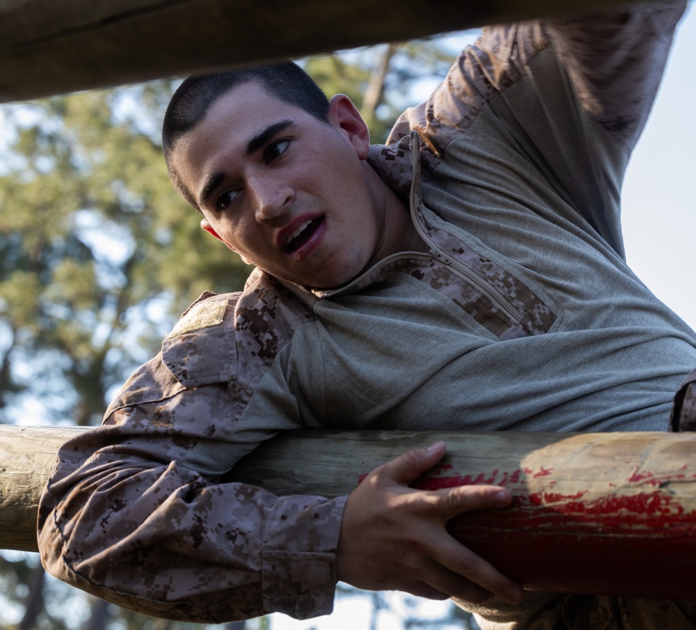Alpha Company Confidence Course