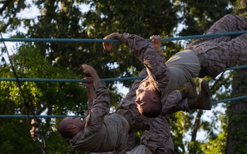 Alpha Company Confidence Course