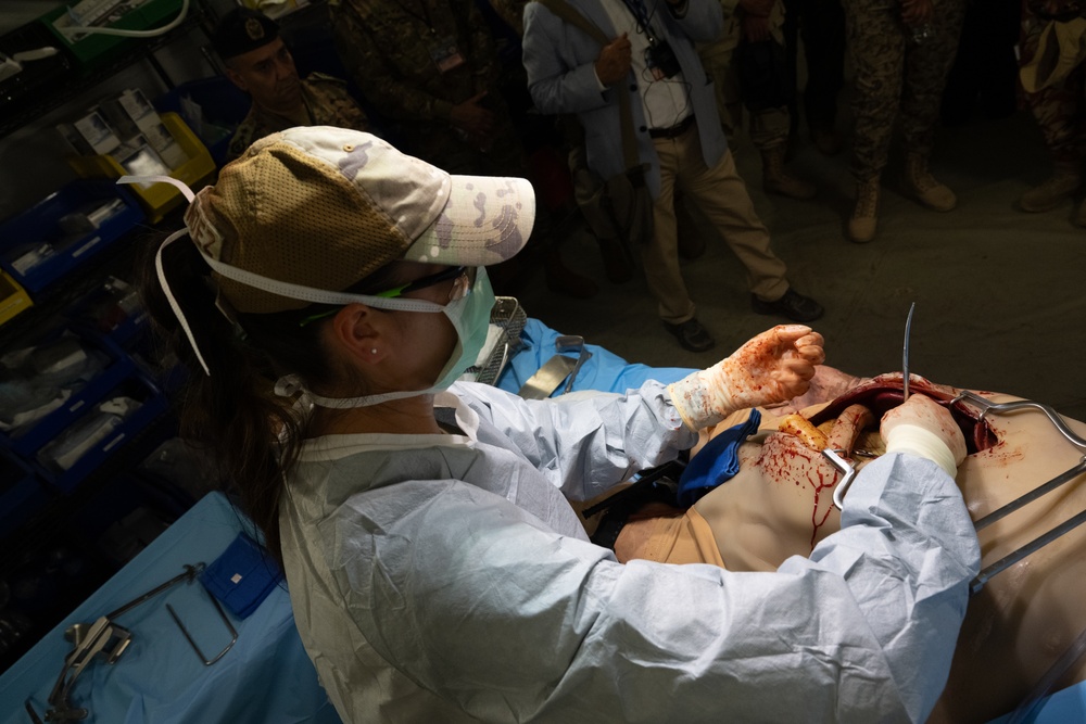 2025 Medical Security Cooperation Exchange Conference