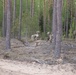 173rd Airborne Brigade, Able Company air assaults during Swift Response 2025