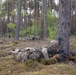 173rd Airborne Brigade, Able Company air assaults during Swift Response 2025