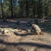 Idaho National Guard hosts Region VI Best Warrior Competition
