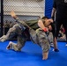 All American Week Combatives Tournament