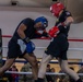 All American Week Boxing Finals