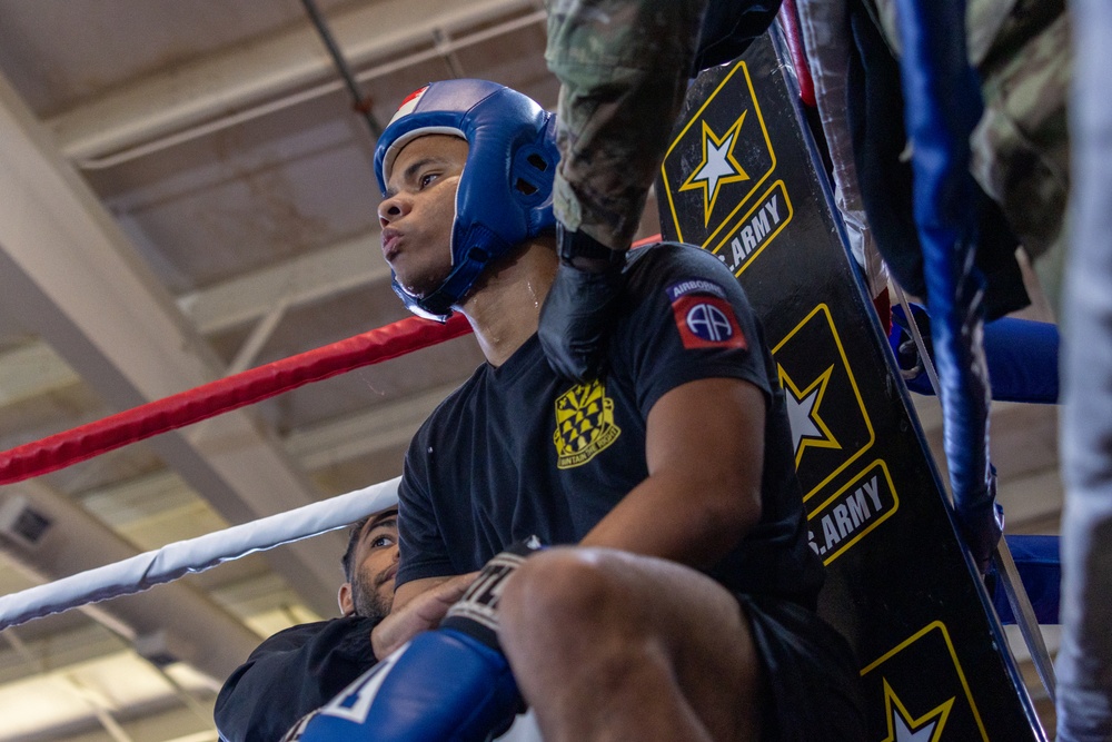 All American Week Boxing Finals