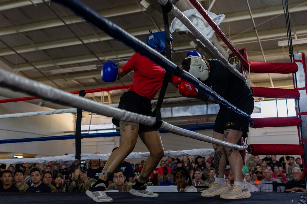 All American Week Boxing Finals