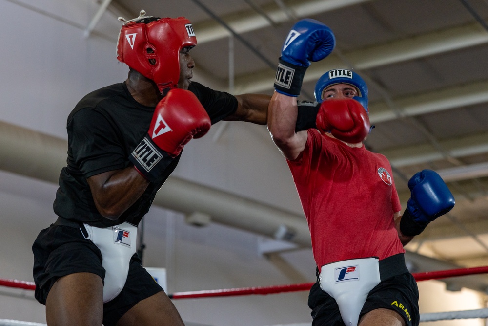 All American Week Boxing Finals