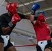 All American Week Boxing Finals