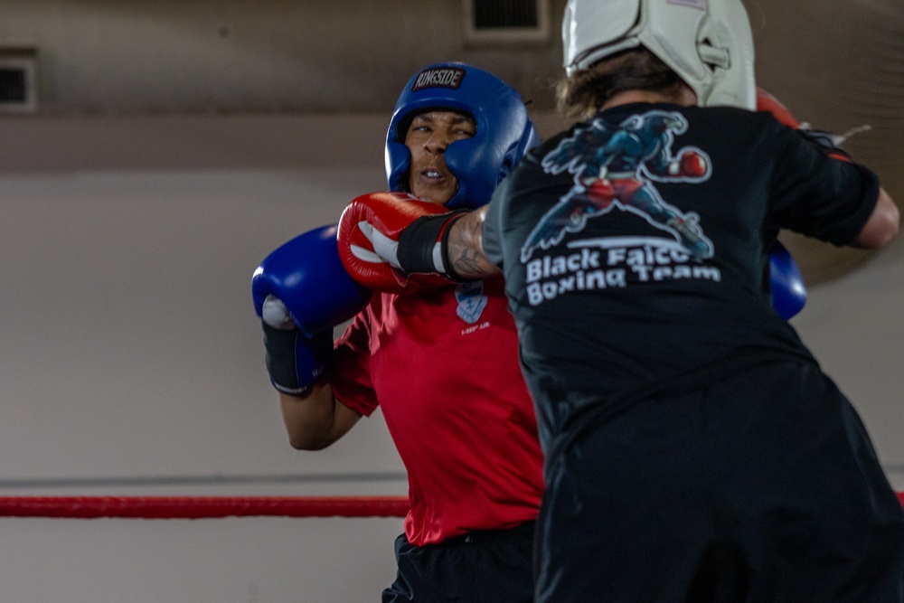 All American Week Boxing Finals