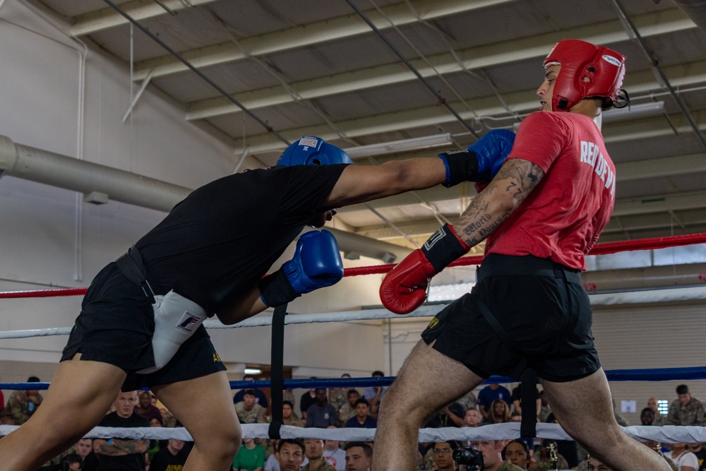 All American Week Boxing Finals