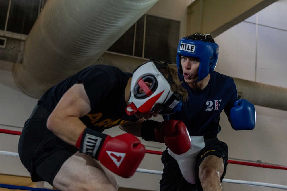 All American Week Boxing Finals