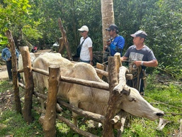 Strengthening Agricultural Resilience in the Philippines