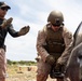 V31 Marines execute EOTG TRAP course
