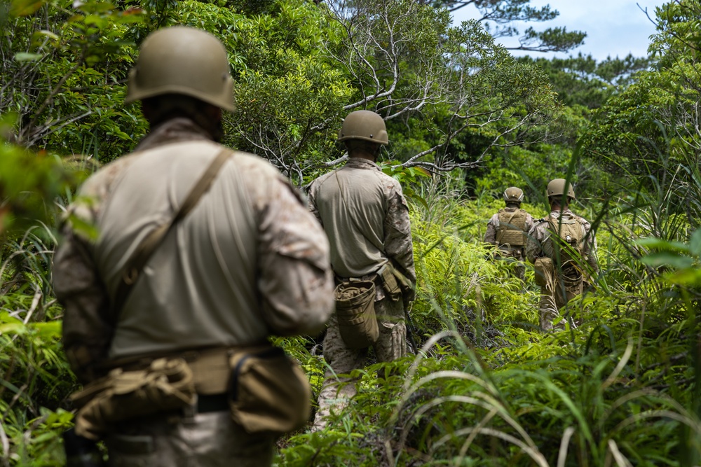 12th LCT Increases Lethality during EABO FTX