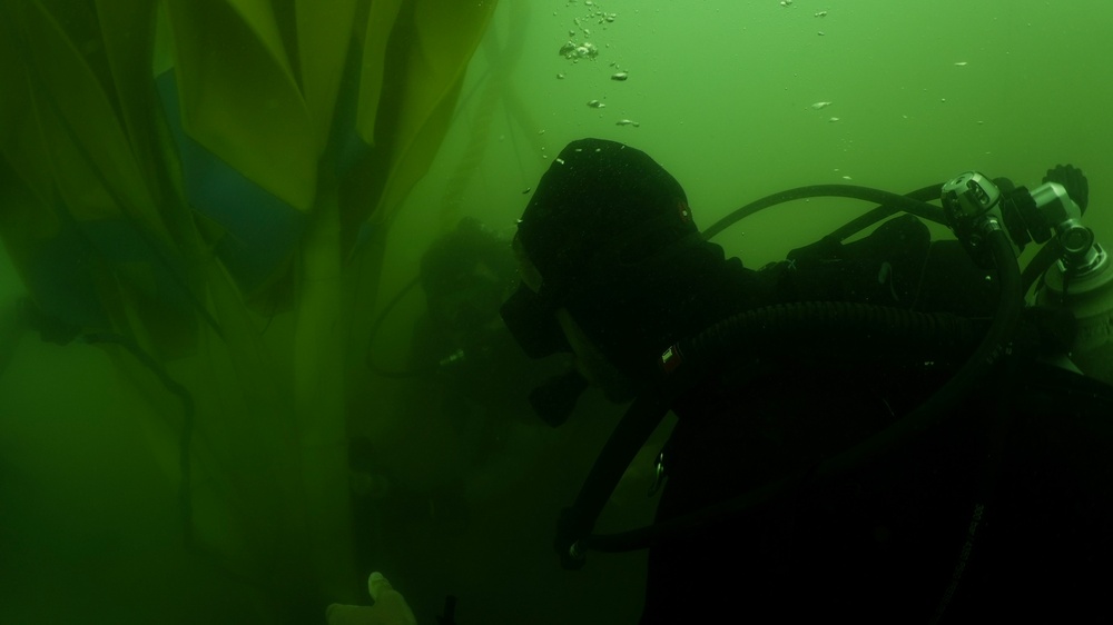 MDSU-1 divers install buoys and anchors around USS Arizona Memorial