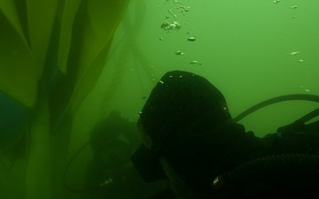 MDSU-1 divers install buoys and anchors around USS Arizona Memorial