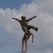 31st MEU, 3rd MLG conduct Casualty Evacuation exercise
