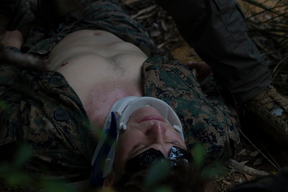 31st MEU, 3rd MLG conduct Casualty Evacuation exercise