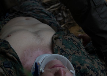 31st MEU, 3rd MLG conduct Casualty Evacuation exercise