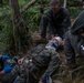 31st MEU, 3rd MLG conduct Casualty Evacuation exercise