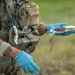 2-7th Infantry Regiment Conducts Point-to-Point Blood Transfusion During Combined Resolve 25-2