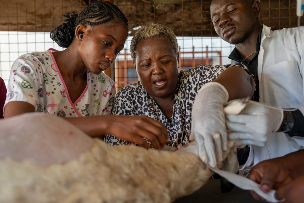US, Ghana veterinarians provide animal healthcare at African Lion 2025