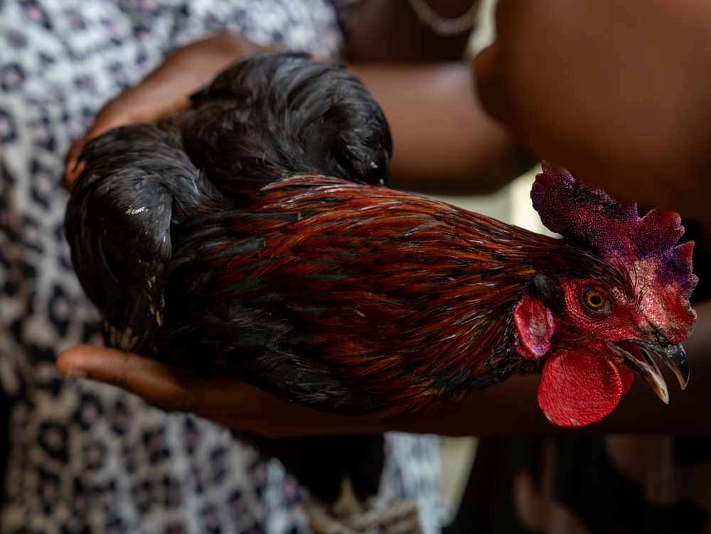 US, Ghana veterinarians provide animal healthcare at African Lion 2025