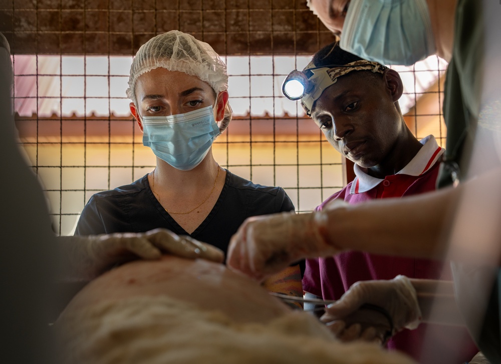 US, Ghana veterinarians provide animal healthcare at African Lion 2025