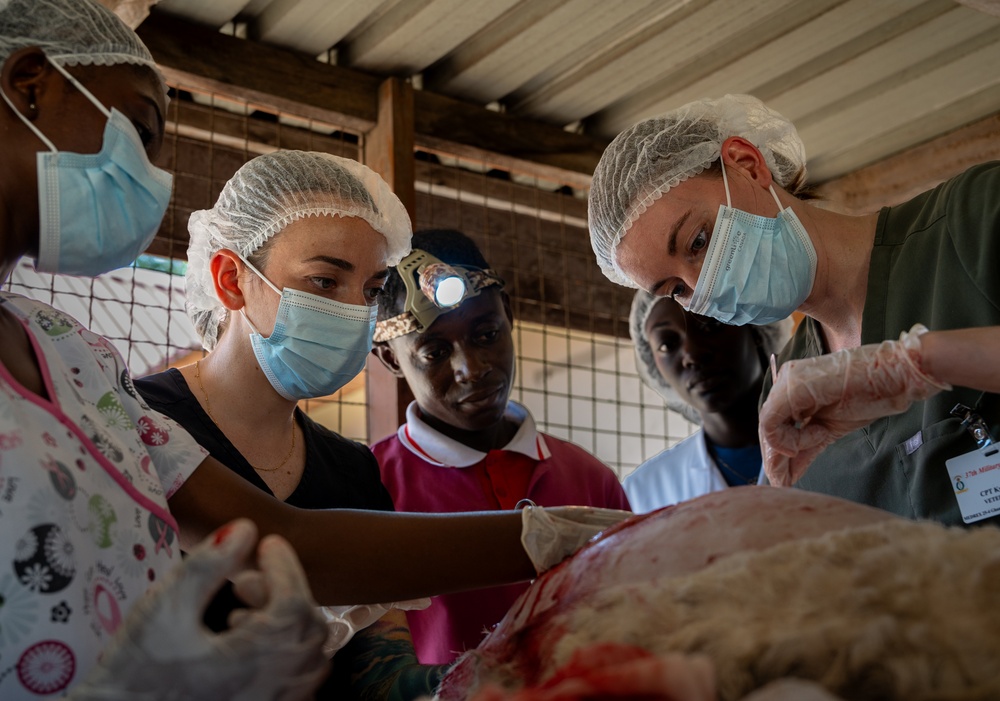 US, Ghana veterinarians provide animal healthcare at African Lion 2025
