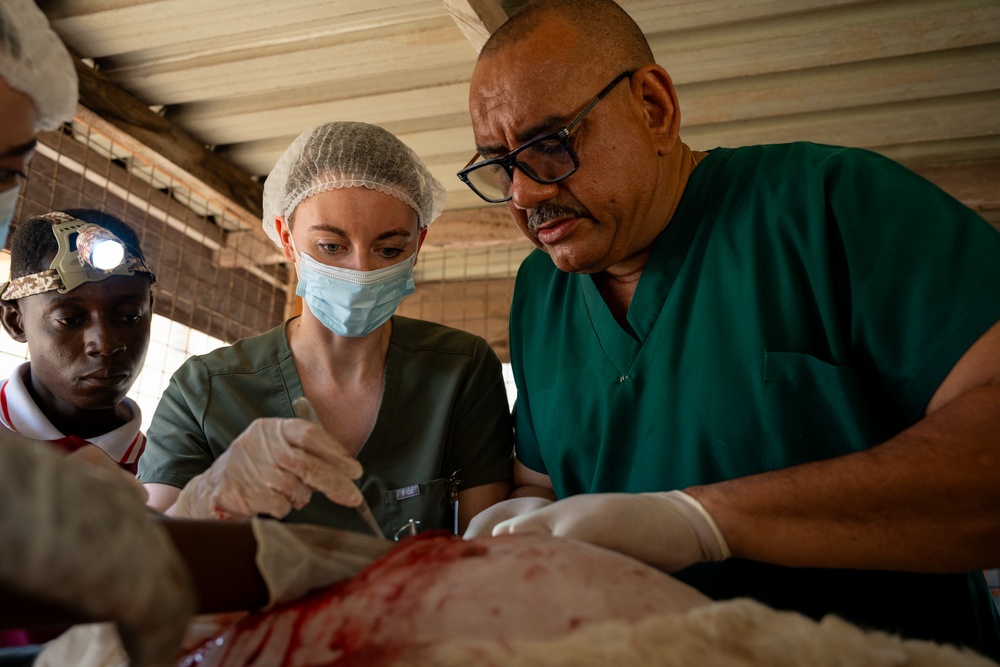 US, Ghana veterinarians provide animal healthcare at African Lion 2025