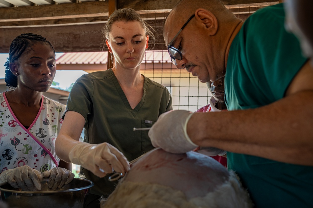 US, Ghana veterinarians provide animal healthcare at African Lion 2025