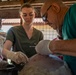 US, Ghana veterinarians provide animal healthcare at African Lion 2025