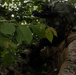 Activated Reserve Marines Conduct CBRN Response Training with U.S. Army during Korea Viper 25.4