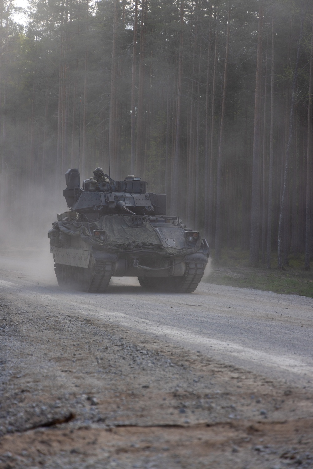 U.S. Soldiers Conduct Bradley Live Fire with Estonian Military (Hedgehog 25)