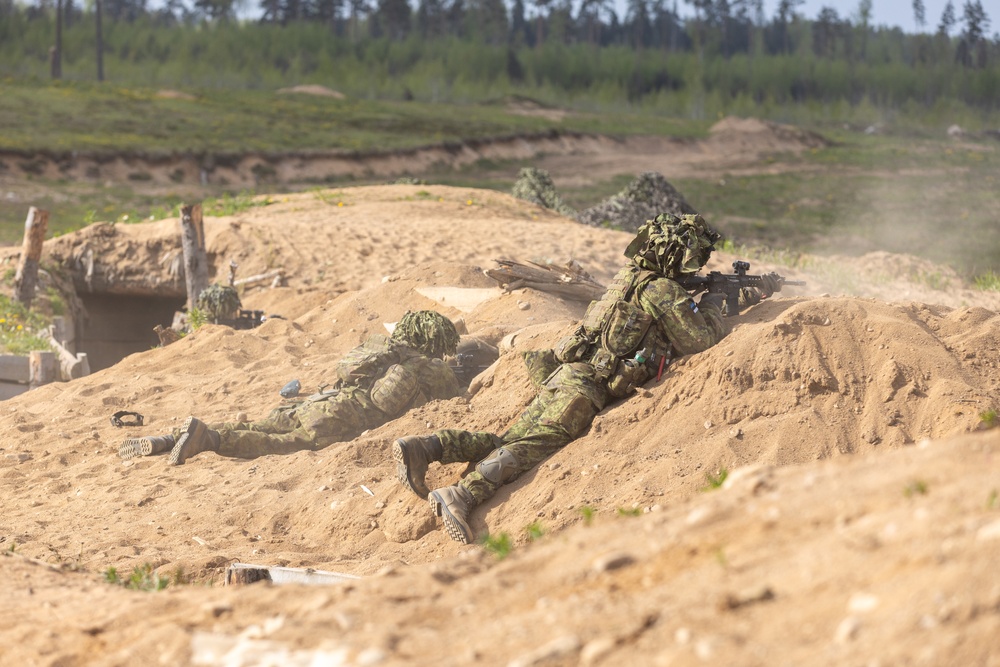 U.S. Soldiers Conduct Bradley Live Fire with Estonian Military (Hedgehog 25)