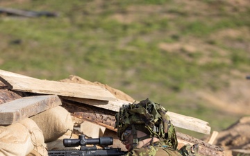 U.S. Soldiers Conduct Bradley Live Fire with Estonian Military (Hedgehog 25)