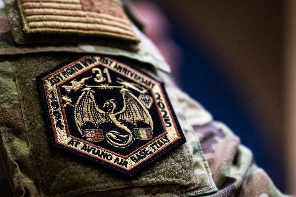 31st Anniversary of the 31st Fighter Wing Leadership Panel