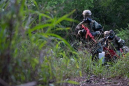 Virgin Islands and Puerto Rico 2025 3E9 DFT