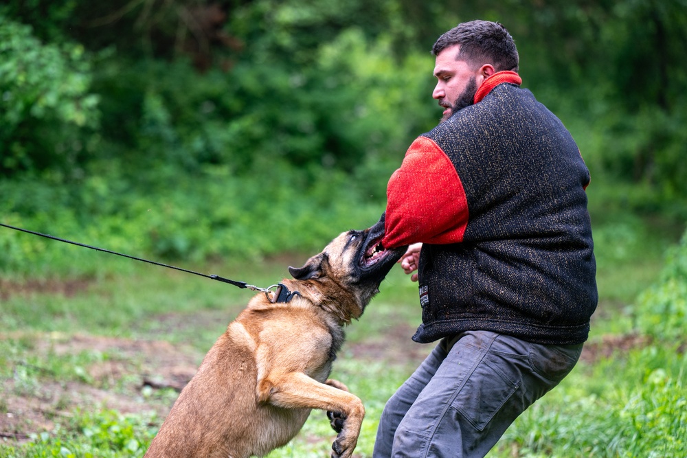 436th SFS MWD Team partner with Worcester County Sheriff’s Office for K-9 TCCC