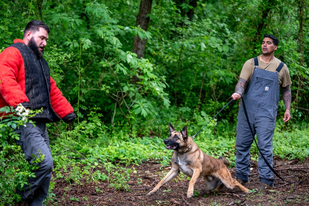 436th SFS MWD Team partner with Worcester County Sheriff’s Office for K-9 TCCC