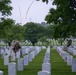 &quot;Flags In&quot; 2025
