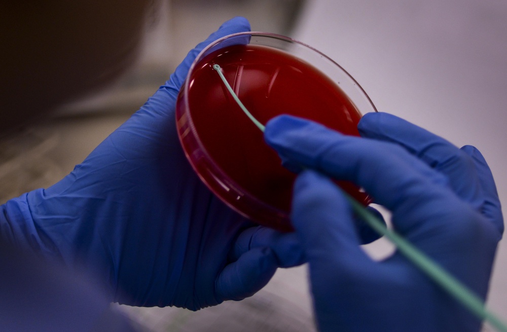 Lab professionals enhance care, ensure readiness at Walter Reed