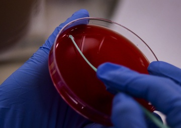 Lab professionals enhance care, ensure readiness at Walter Reed