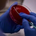 Lab professionals enhance care, ensure readiness at Walter Reed