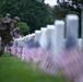 Flags In at Arlington National Cemetery 2025