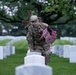 Flags In at Arlington National Cemetery 2025