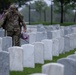 Flags In at Arlington National Cemetery 2025