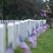 Flags In at Arlington National Cemetery 2025